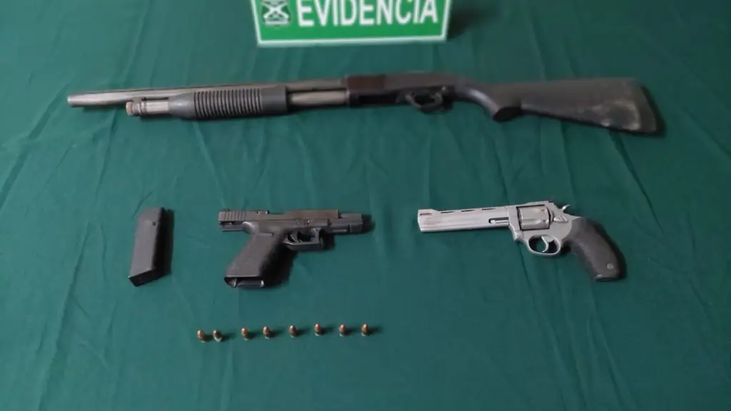 Las armas incautadas., Cedida