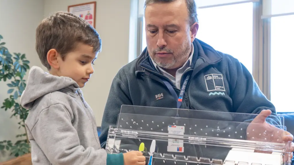 Seremi de Salud, Cedida.