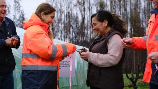 En Mulchén comenzó entrega de invernaderos para afectados por los incendios rurales 