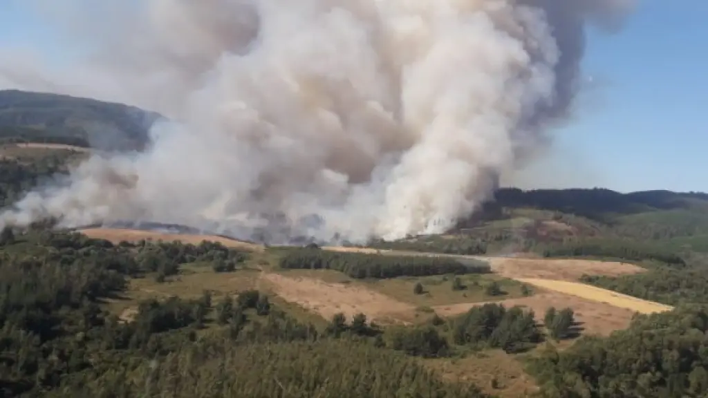 Incendios forestales Chile