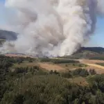 Incendios forestales Chile