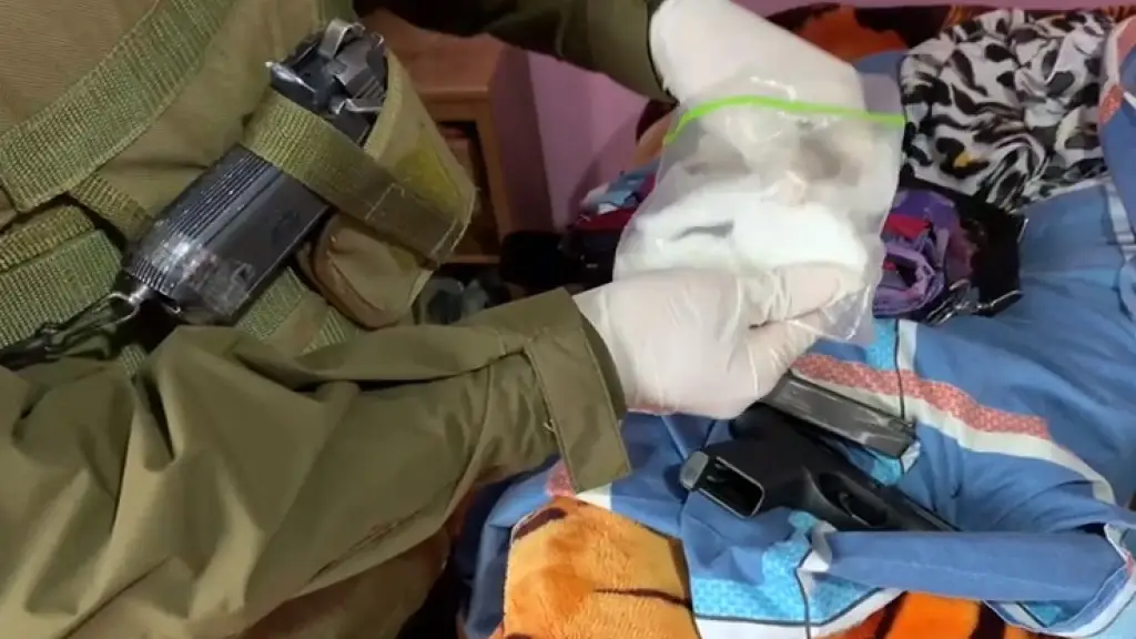 Operativo antidrogas , Carabineros