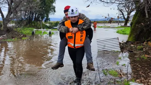 VIDEOS: Mil 700 afectados, 380 casas con daños y 600 evacuados dejan inundaciones en Biobío