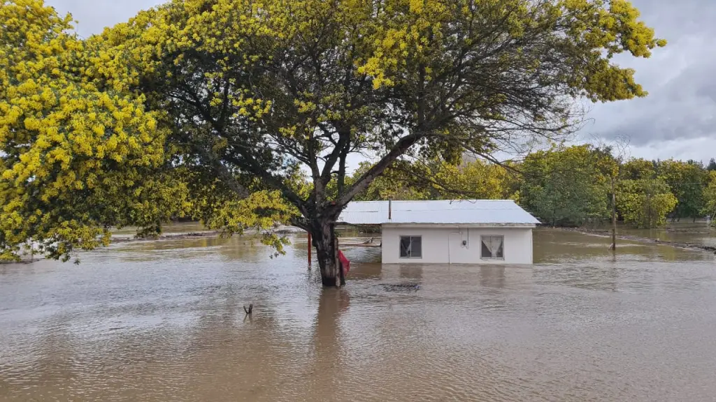 Alcaldes de la provincia del Biobío entregaron reportes por inundaciones en comunas