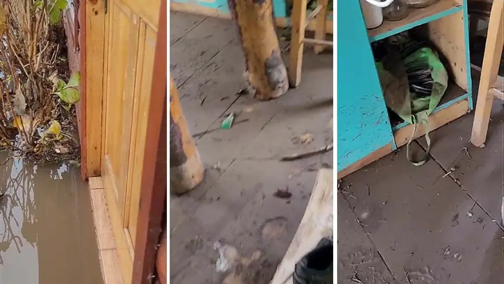 Registro fotográfico de las anegaciones