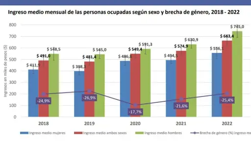Brecha de Género en Ingresos llega al 43,3% en la región del Biobío