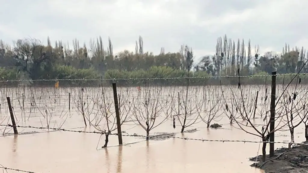 Anegaciones en predios frutícolas