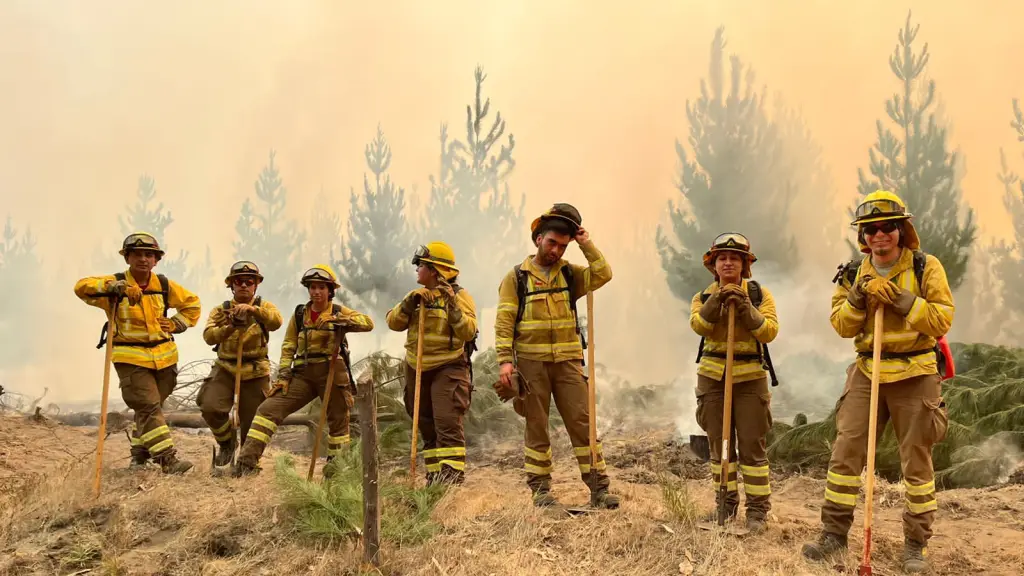 Brigadas de Prevención y Control de Incendios Forestales de la Región del Biobío, Cedida