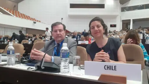 Ministra de Ciencia representó a Chile en la cumbre del G77 + China 