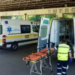 En Fiestas Patrias, cedida