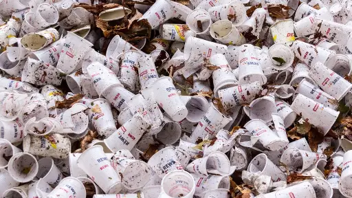 Ley Rep: Cinco recomendaciones para reducir el plástico y reciclar en estas Fiestas Patrias