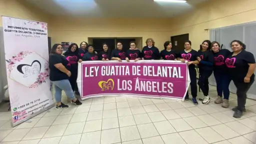 ¿Qué es la agrupación Guatita de Delantal y cuál es su importancia al hablar sobre imagen corporal?