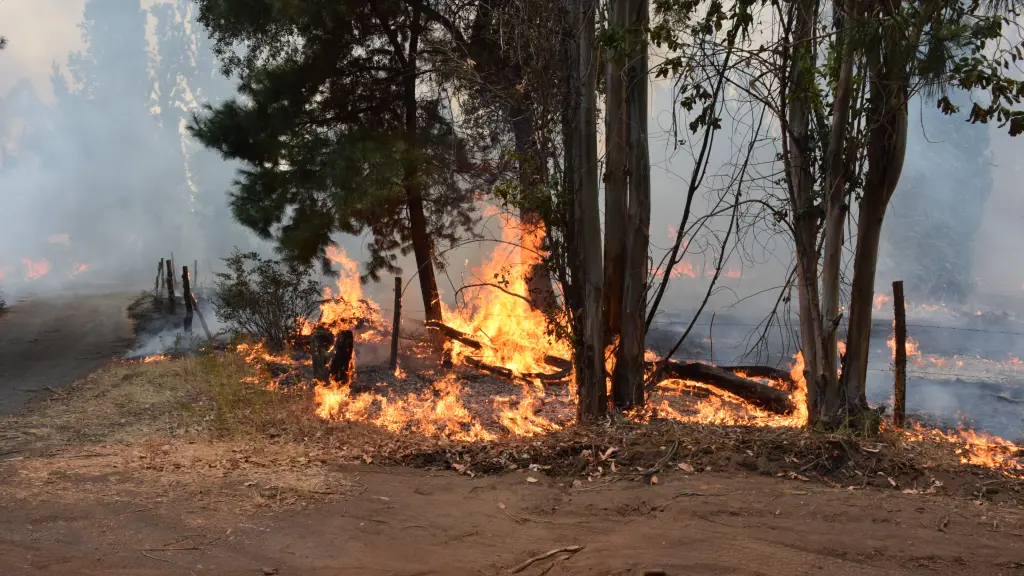 Desde Conaf Biobío adelantaron que se aprobó la adquisición de equipamiento de combate de incendios forestales por un monto de 638 millones de pesos, que se está licitando.