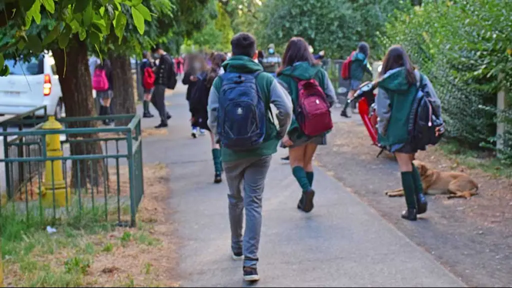 Clases, Archivo La Tribuna