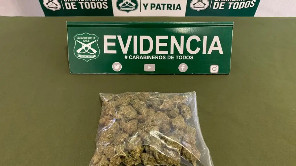 Marihuana, Carabineros