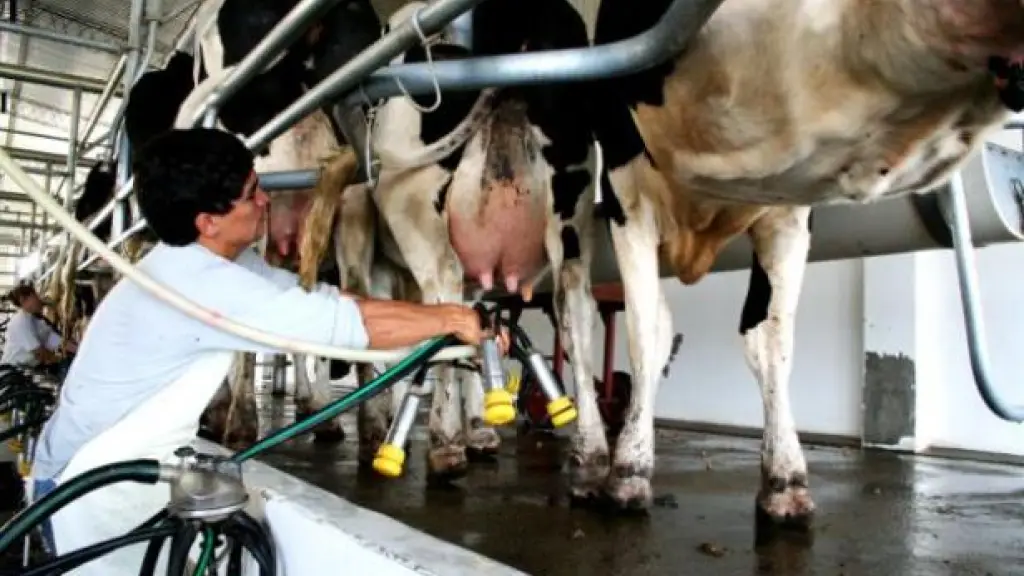 La mayoría de las regiones han visto una disminución en el número de proveedores de leche desde el 2020, siendo la mayor baja la de la región de Los Ríos, que disminuyó de 118 en 2020 a 85 en 2022.