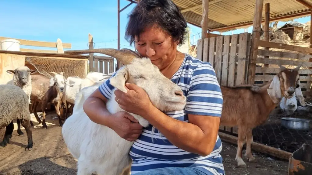 Minta Flores, productora de queso de cabras y ovejas.