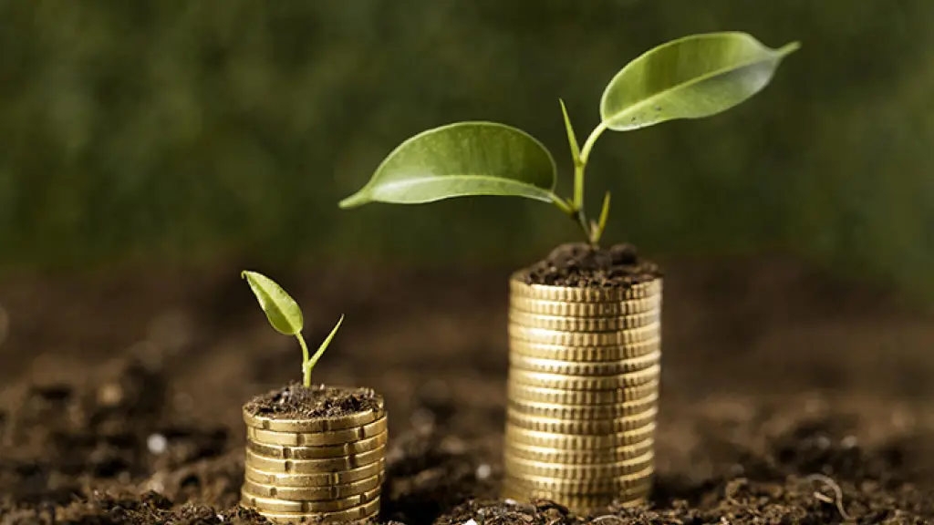 Se espera que con el paso del tiempo la acumulación de nieve necesaria para el riego en la época estival disminuya en más de un 50% en todas las comunas cordilleranas.