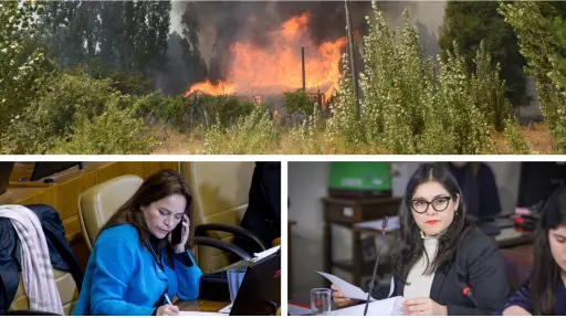 Diputadas analizaron decreto de emergencia preventiva ante incendios forestales para Biobío