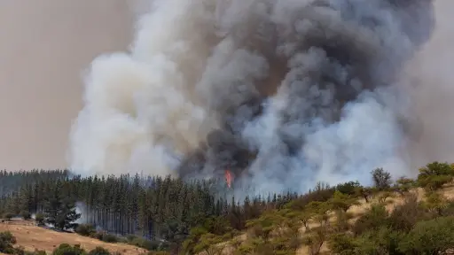 Allanan oficinas de empresas eléctricas tras investigaciones por origen de incendios forestales