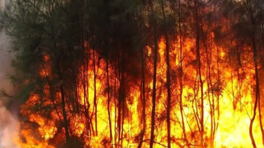 Incendios forestales Chile.