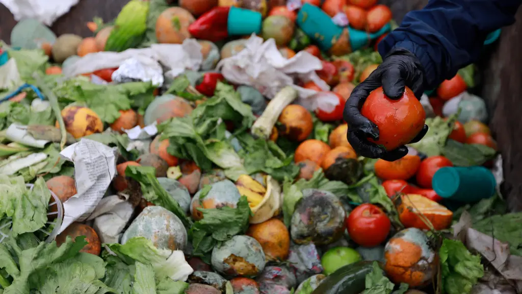 Desperdicio de alimentos Chile.