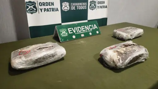 VIDEO: Dos operativos antidrogas en peaje Las Maicas permitió decomisar cuatro kilos de drogas