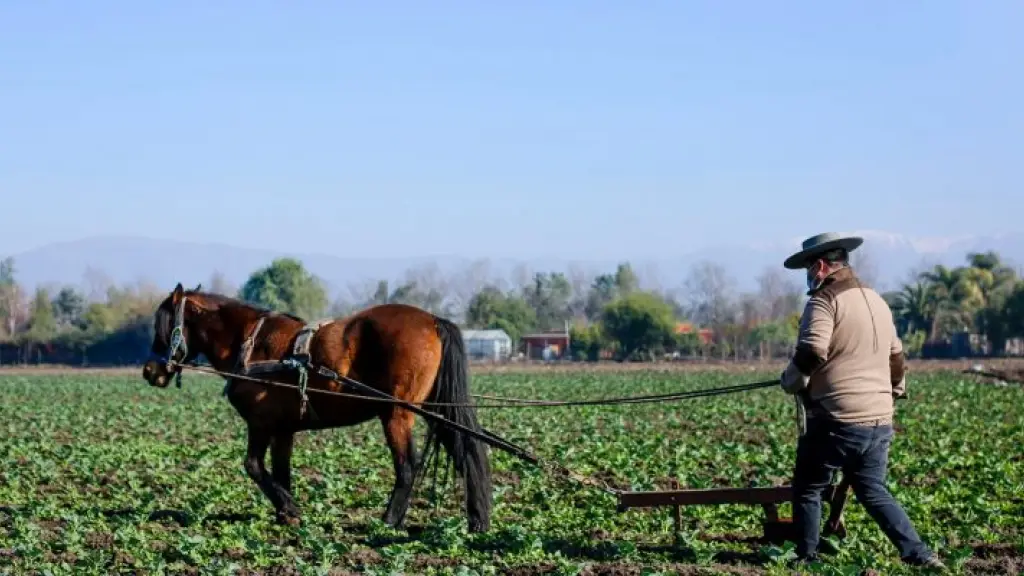 Aún falta aumentar el capital humano que cuente con los conocimientos de tecnología para el agro, porque muchas veces el productor o sus colaboradores no saben utilizarla.