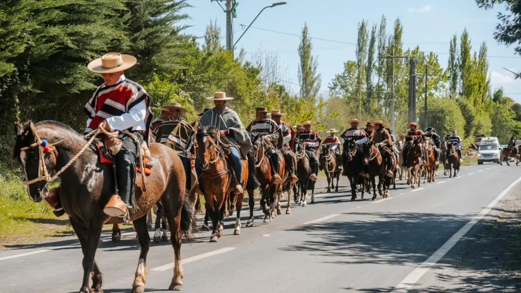 Cabalgata Negrete 2023, Redes sociales