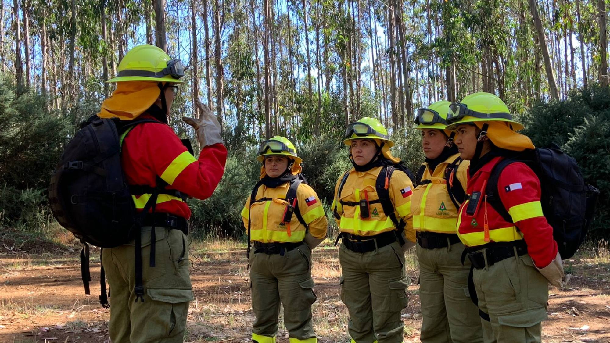 Aumenta La Participación Laboral Femenina En El Rubro Forestal A Nivel País La Tribuna 5330