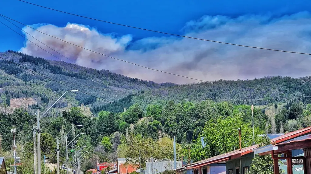 Registro de incendio forestal en Santa Bárbara