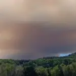 Incendio Forestal