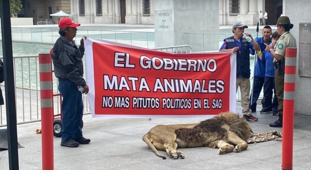 Manifestación en La Moneda, enero 2023 / cedida