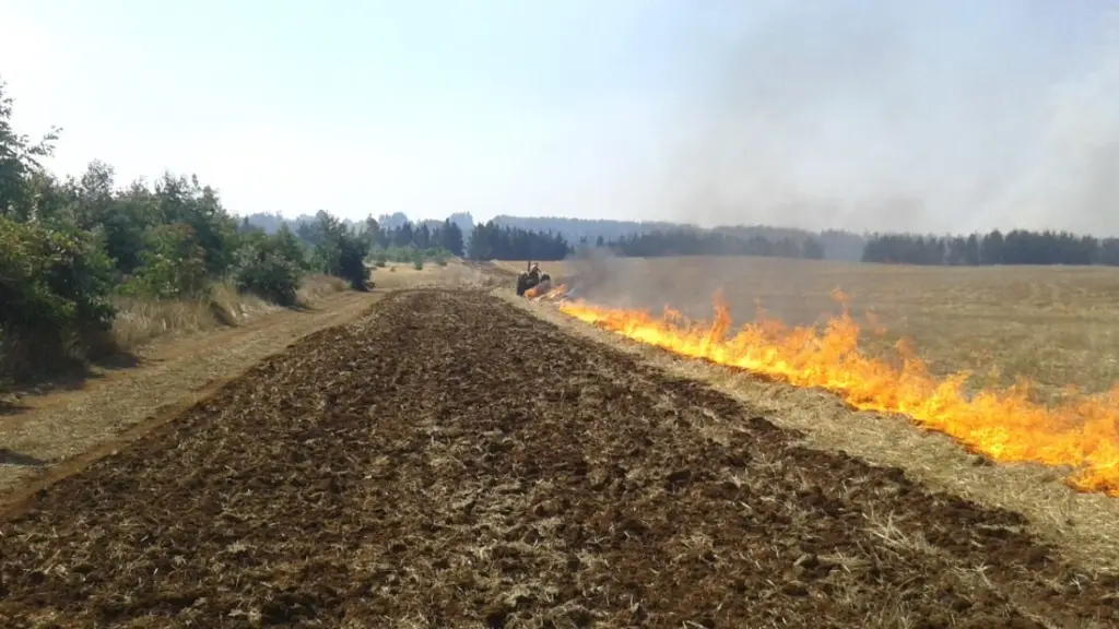 Quemas forestales y agrícolas.