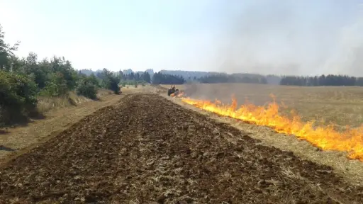 Restringen quemas agrícolas forestales en Biobío