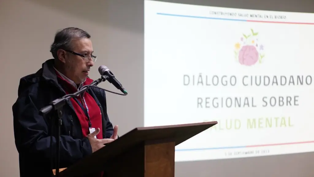 Seremi de Salud, Cedida.