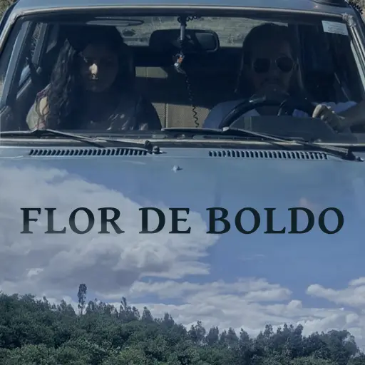 Flor de Boldo / CCMLA