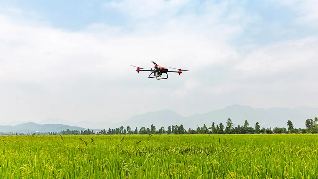 La brecha digital en el manejo de tecnologías, por ejemplo, para llevar registros en rendimiento o inventarios en la agricultura es una práctica que aún no adquieren todos.