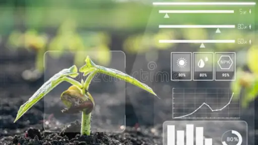 Programa Inmersión Agricultura invita a conocer soluciones tecnológicas sustentables