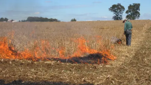 Conaf restringe las quemas controladas en el Biobío por alto riesgo de incendios