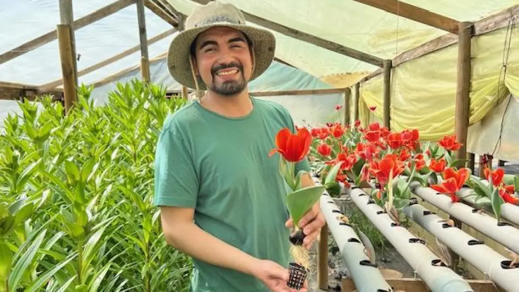 Emprendimiento floricultura Yumbel.