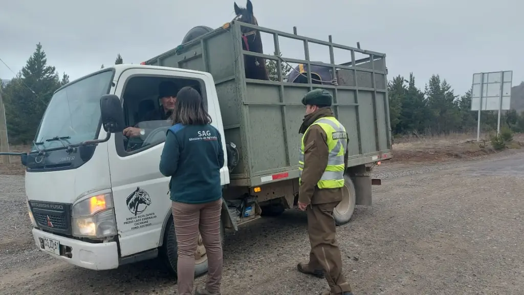 Fiscalización de movimiento animal.