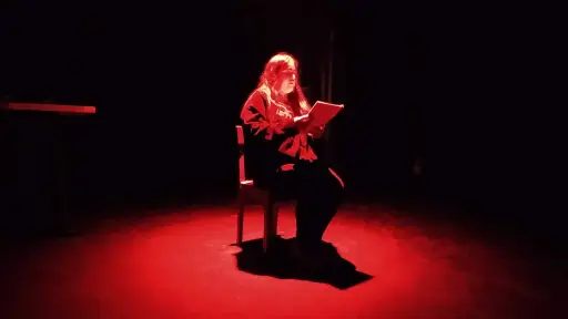 Entregarán herramientas de escritura a profesionales del Sur de Chile 