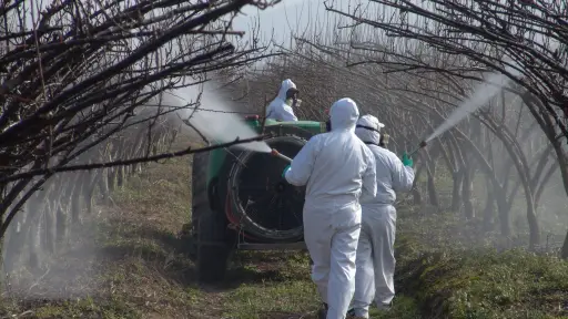 Agricultores deberán avisar con 48 horas de anticipación el uso de plaguicidas: revisa las restricciones 