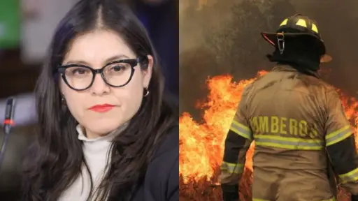 Diputada Karen Medina exige al Gobierno reconsiderar recorte del 7% al presupuesto de bomberos en 2024