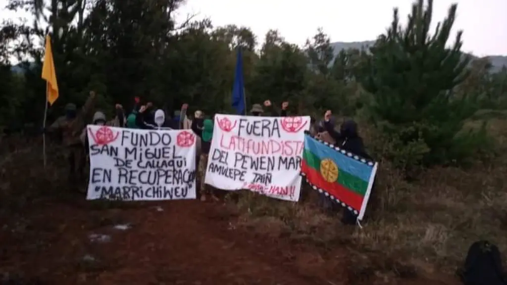 En la provincia de Biobío aún hay campos tomados en Alto Biobío, siendo algunos de los casos los predios pertenecientes a la familia Wild y a la familia Guzmán.