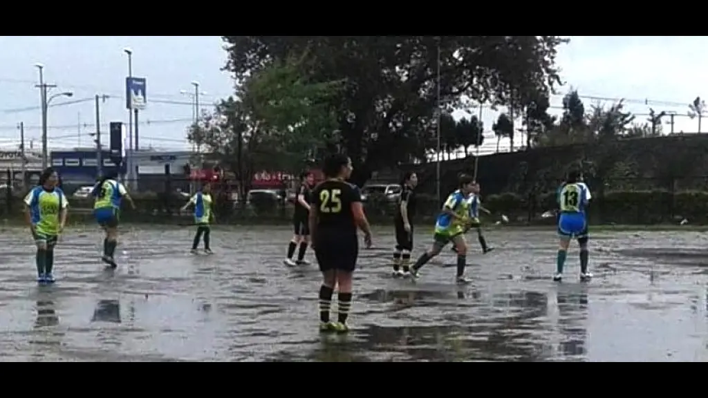 Presidenta y jugadoras esperan no volver a vivir episodios como éste en invierno, La Tribuna