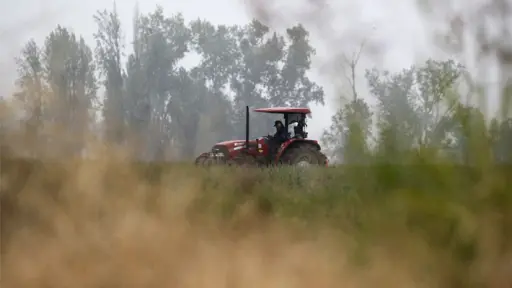 Socabío reclama la falta de políticas para asegurar la producción de alimentos