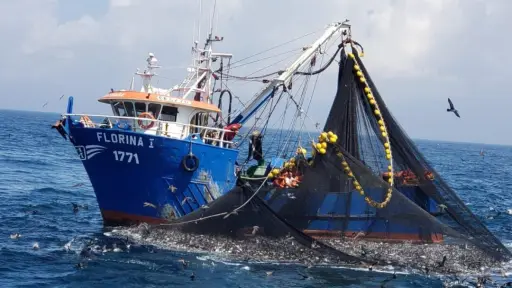Seremi de Economía se reunió con gremio pesquero regional de Biobío para fortalecer la protección del sector