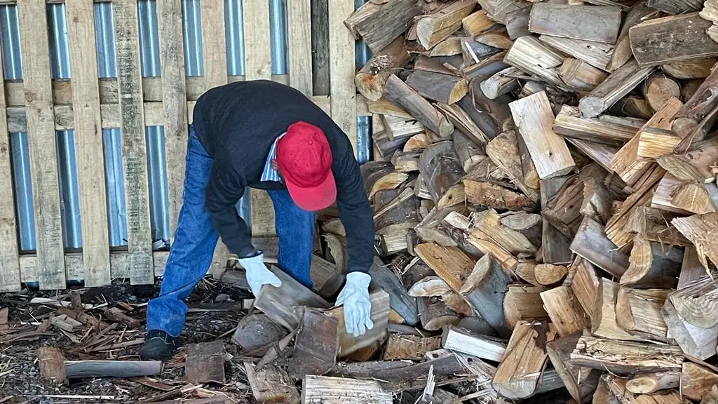 Biocombustibles , redes sociales